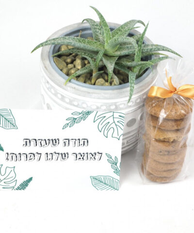 מתנה לגננת