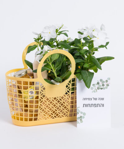 סל של שנה מתוקה